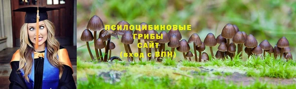 тгк Красноперекопск